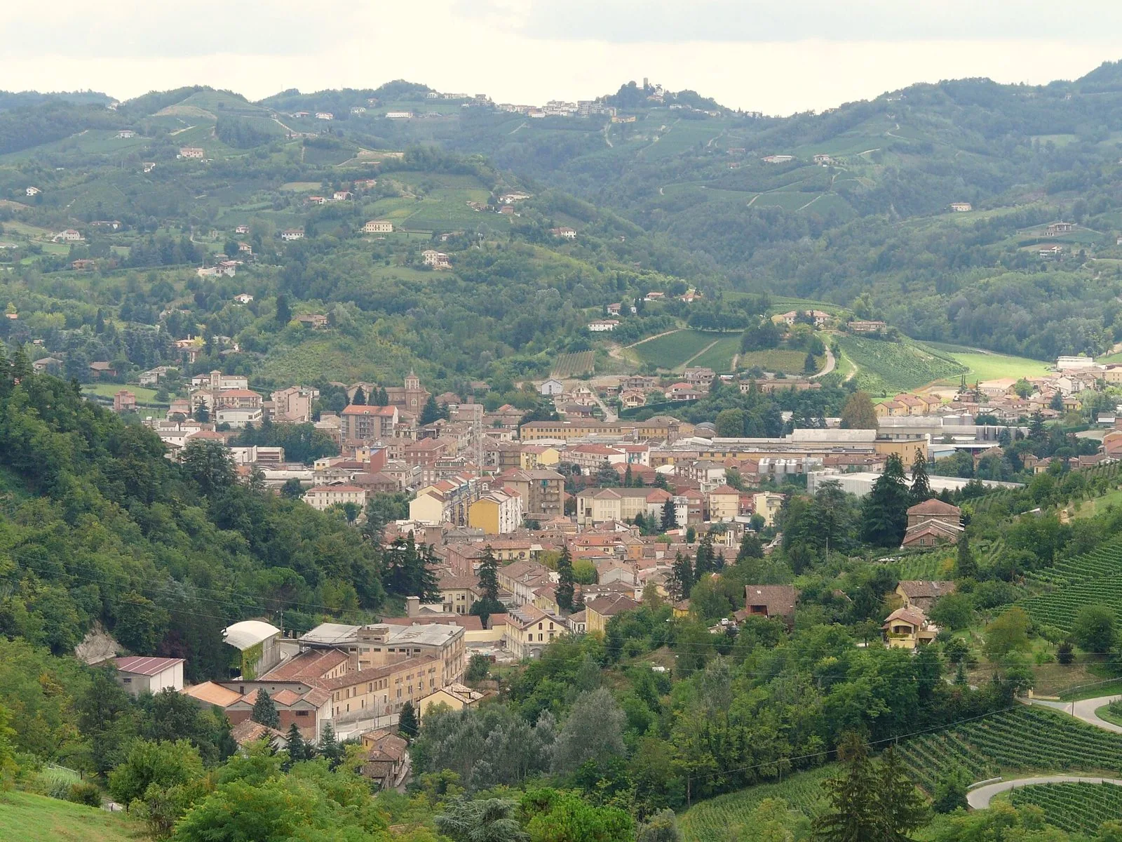 Veduta di Canelli dall'alto, con il centro abitato nella valle e le colline coperte di vigneti e boschi tutto intorno