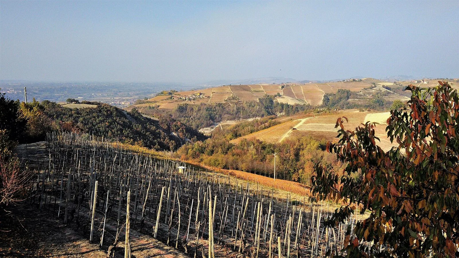 Vigneti spogli e colline delle Langhe dai colori autunnali visti da Clavesana