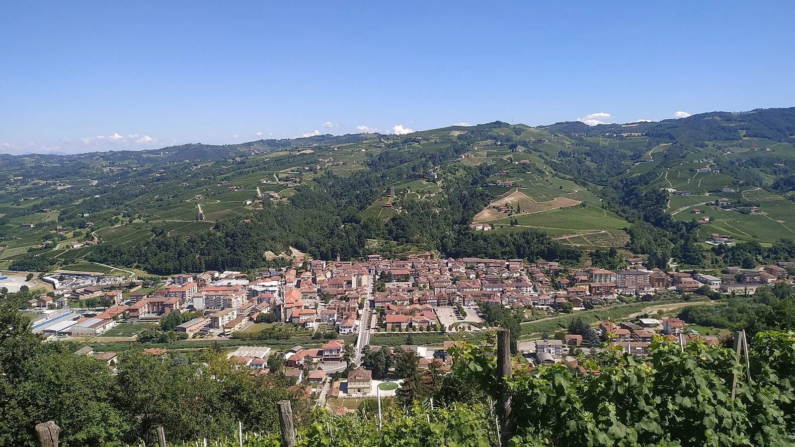 Santo Stefano Belbo nel fondovalle del Belbo, tra colline coperte di vigneti e boschi, con una torre sul versante